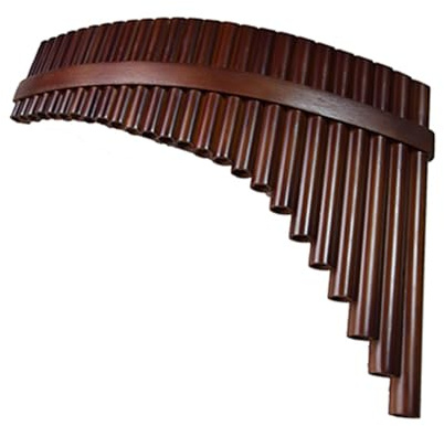 Panflöte in Leistungsqualität perfektes Instrument für Anfänger(C tone,Left)