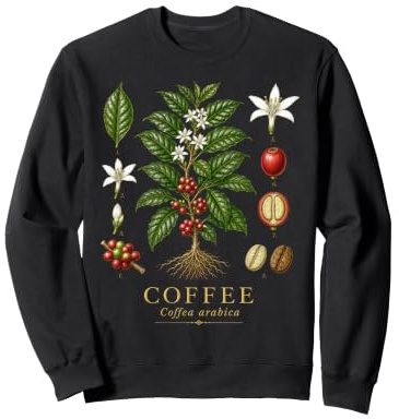 Coffee Coffea arabica Vintage Botanical Anatomy Study Plate Sweatshirt
