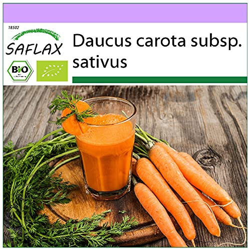SAFLAX - BIO - Carota - Early Nantes - 1500 semi - Daucus carota subsp. sativus