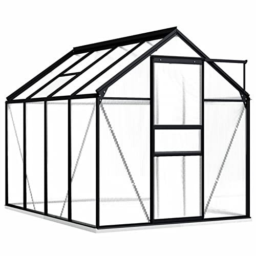 Yolola Aluminium Gewächshaus Mit Fundament - Pflanzenhaus, Glas Garten Tomatenhaus, Frühbeet, Treibhaus Winterfest - Groß 4,75 m³ Anthrazit Und Transparent