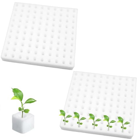 ZAHD 200 PCS esponjas cuadradas para plántulas para invernadero Esponjas Hidropónicas para Plantar Herramientas de Jardinería Esponjas Cuadradas para Plántulas Esponjas hidropónicas sin suelo (Blanco)