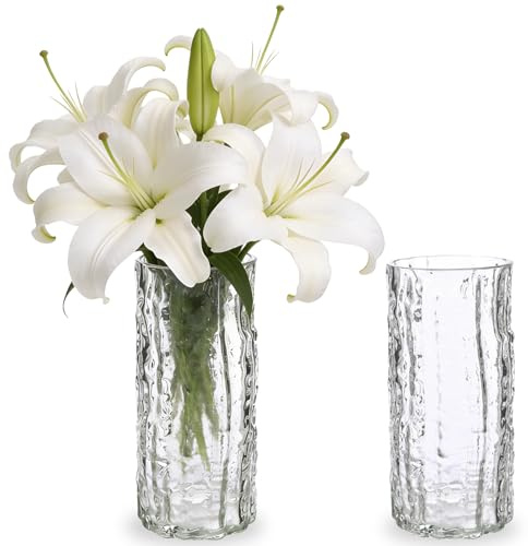 2 Pack Glass Vase, 10inch Tall Crystal Flower Vase, Clear Glass Cylinder Posy, for Home Table Decor Wedding Centrepiece Dining and Living Rooms, Flower arrangement and floral display