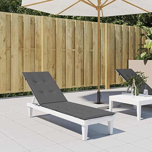 TANZEM Liegestuhl-Auflage, Hollywoodschaukel Auflage, Sonnenliege Auflage, Gartenliege Auflage, Liegenauflage, Deckchair Auflagen, Anthrazit (75+105) x50x3 cm