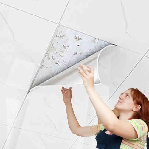Deckenpaneele deckenplatten Abgehängte Deckenplatten – 5, 10, 15, 20 Stück, Wasserdicht Und DIY-Panel Für Die Innenwanddekoration – Selbstklebende Deckenabdeckungen Für Risse Und Flecken(A,20 pcs)