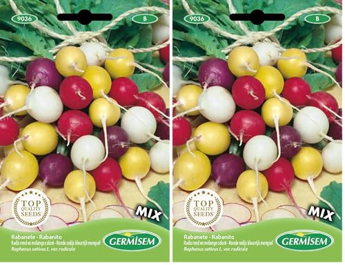 Germisem Color Mix Semi di Ravanello 10 g (Confezione da 2)