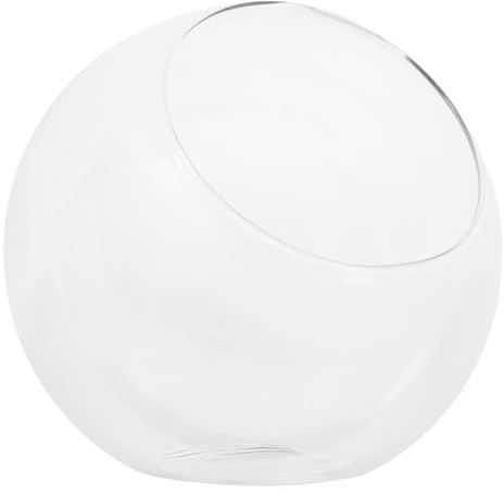 SEWACC Glas Terrarium Vase mit Schräger Öffnung 15cm Transparentes Hydrokultur Pflanzgefäß für Sukkulenten und Luftpflanzen Mikrolandschaft Deko für Zuhause und Büro