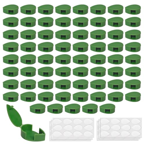 HAVIRI - Lote de 70 clips de soporte para plantas trepadoras, autoadhesivos, fijación de pared para plantas de interior, hiedra, filodendro