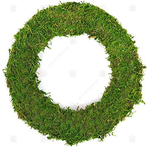 GardenersDream Padded Moss Effect Rings - Bases and Frames for Wreath Making, Christmas Decorations, Funeral and Grave Arrangements (5, 10 (25cm))