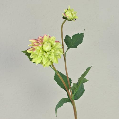 artplants.de Textil Dahlie PATRITZIA, grün-rosa, 55cm, Ø4-9cm - Kunstblume Dahlie