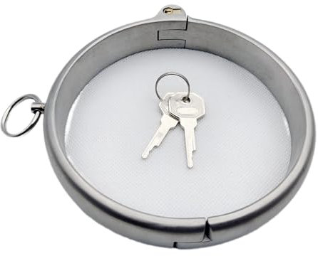 Edelstahl Bondage Sex Halsbänder, Metall Abschließbar Halsband Halsreif Sklaven O-Ring mit Schloss und Schlüssel Fetisch SM Halsfessel Sexspielzeug für Paare,Silber,Ø 11.7cm
