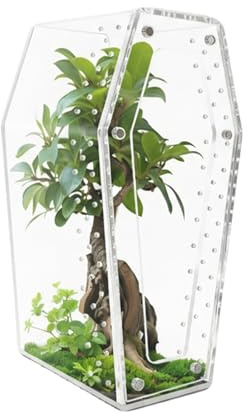 Jumping Spider Terrarium | Genomskinlig Akryl Terrarium För Grodor,Liten Reptiluppfödningslåda - För Skötare Naturälskare Lärare Hobbydjurägare Skolprojekt