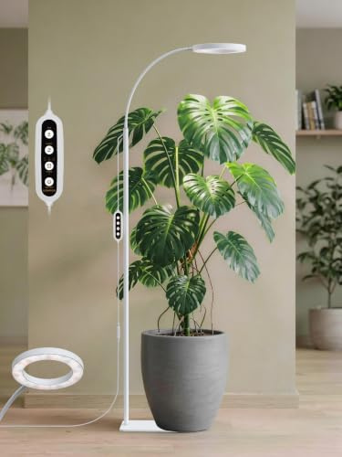 GLOWRIUM Grow Lights for Indoor Plants, 20 W Full Spectrum LED Grow Light Floor Lamp with Stand, Adjustable Height and Angle, Black Plant Light with 3/9/12H Grow Light Timer (White, 20W)