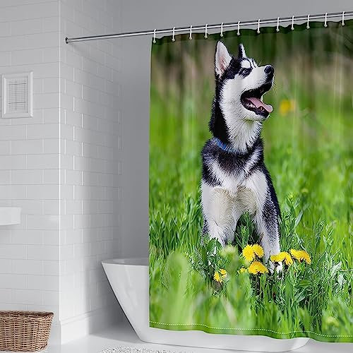 Whoiy Duschvorhang 180X200 Hund, Duschrollo Um Die Ecke Polyester Duschvorhänge Hund Wiesenblume Schwarz Weiß Grün für Outdoor Hotel