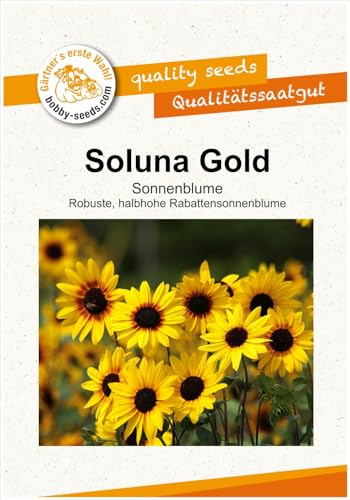 Blumensamen Soluna Gold Sonnenblume Portion