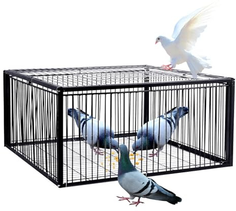 ASQUAR Vogelfalle Taubenfalle Mit Einweg-Eingang Tierfalle Käfig Leicht Zusammenzubauender Käfig, Taubenkäfig, 2cm Verschlüsselung, Anti-Flucht-Design, Automatische Vogelfalle(40x30x26CM)