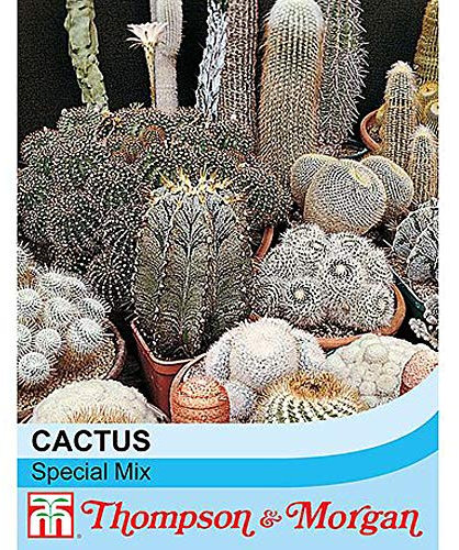 Cactus Seeds 'Special Mix' Mixed Varieties Indoor House Plants Flowers All Year Easy to Grow Your Own for Windowsills, Greenhouses, Conservatories, 1 Packet 80 Cactus Seeds by Thompson and Morgan