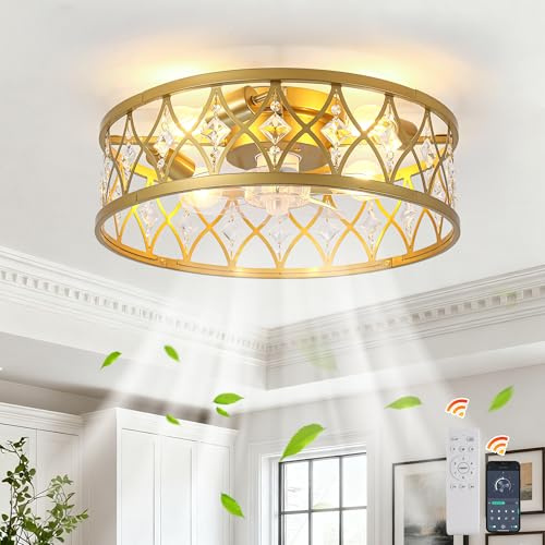 Ganeed Ventilador Techo Jaula Cristal Granja 4 Luces E27 Dorado Gota | Lámpara Techo Perfil Bajo Montaje Superficie, Ventilador Silencioso para Salón Comedor Dormitorio, Estilo Rústico con Cristal