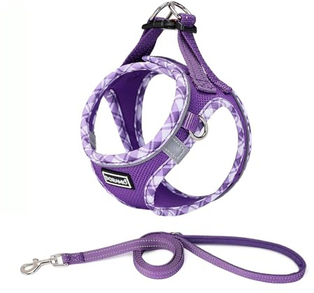 DORAMIO Pettorina Cane Taglia Piccola, Step-in Pettorina per Cani Gatti Cuccioli con Guinzaglio Comodo, Riflettente Traspirante Imbracatura Cane Morbida Imbottito per Passeggiate (S, Viola)