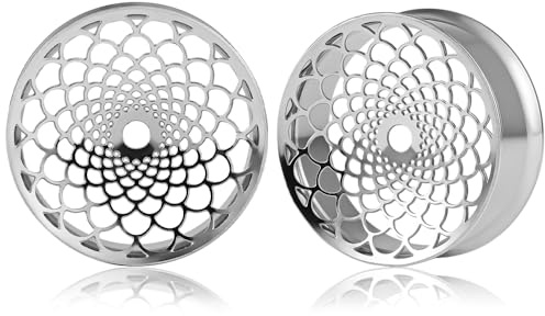 DOEARKO Flesh Tunnel 2pezzi Dilatatore per Orecchio in Acciaio Inossidabile Double Flared Tunnel Ear Tunnel Expanders Stretchers per Uomini e Donne, 8 mm a 16 mm (Argentato, 16mm)