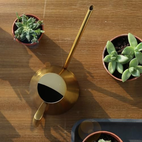 Un jardinero esencial Elegante regadera de acero inoxidable con diseño de pico largo, perfecto para alimentar plantas (1500ML negro)