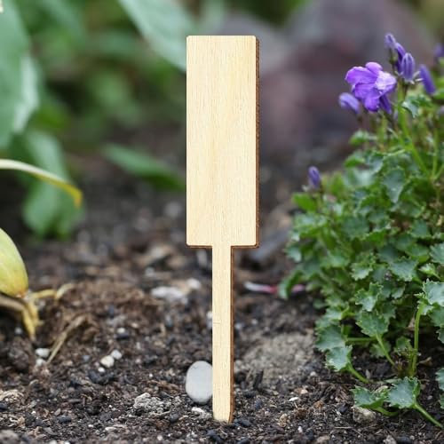 Bütic Sperrholz Pflanzschilder Gartenstecker - Motivauswahl - Leerschilder zum selbstbeschriften - 10, 25, 50 oder 100 Stück im Set, Motivauswahl:Pflanzstab, Set mit:10 Stück