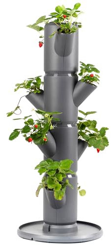 GUSTA GARDEN Sissi Strawberry Erdbeerbaum Starter Anthrazit - Hochbeet System Erdbeeren mit Standfuß - Garten & Balkon - 77 cm Höhe - 10L Erdvolumen