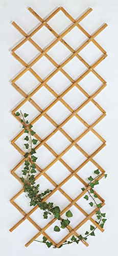 VERDELOOK Traliccio Estensibile in Bamboo, 60x240 cm, Ideale per Decorazione Esterni