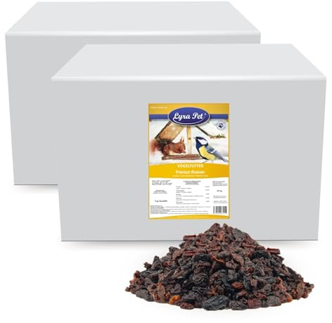 Lyra Pet® 20 kg Premium Rosinen Futterrosinen Wildvögel Vogelfutter | Ganzjähriges, ballaststoffreiches Wildvogelfutter - Natürliche Energie durch hohen Fettanteil - Ideal für größere Vögel