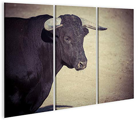 islandburner Primer cuadro sobre lienzo atrevido espectáculo de toros en el toro contra un torero cuadros murales carteles