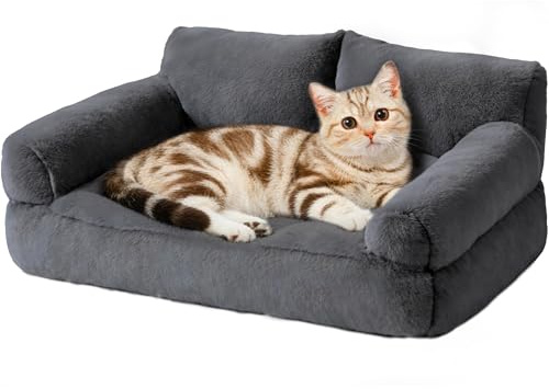 FURMORENE Cat Beds for Indoor Cats, Cat Couch Bed, Cute Cats Sofas for Pets, Small Dog Sofas & Chairs with Removable Washable Cover, Plush Soft Pet Furniture for 10lbs Small Dogs & Cats(Dark Grey)