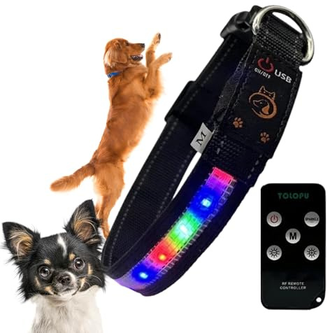 Leuchthalsband für Hunde, wiederaufladbar und wasserdicht, verstellbares Halsband mit 7 Leuchtmodi für kleine, mittelgroße und große Hunde (M)