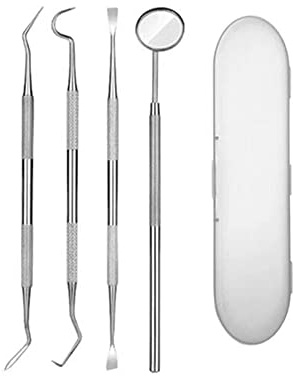 OLIXUZYH 4PCS Dental Tools Kit Stainless Dental Picks Teeth Cleaning Floss Picks for Dentist, Personal, Pets Oral Care with Oral Mirror Tooth Tartar Plaque Scraper Dental Probe with Case