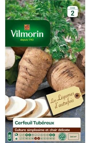 Cerfeuil Tubéreux - Légumes d'Autrefois