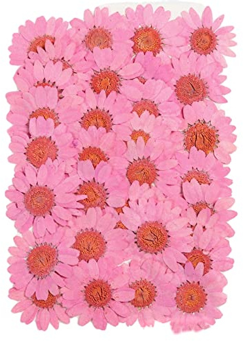 Blausky 60 Stück Natürliche Getrocknete Blumen,Gepresste Blumen,Farbige Chrysantheme Gepresste Blüten,für DIY Kerzen Harz Schmuck Handyhüllen Anhänger Scrapbooking-Dekorationen 25-30mm,Rosa