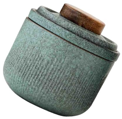 GALPADA Juego De Té Portátil De Cerámica Para Viajes Filtro, Taza De Viaje Tamaño Individual, Color Verde Matcha, Kit Para Preparar Té, Uso Exterior y Hogar, Incluye Estuche Transportable
