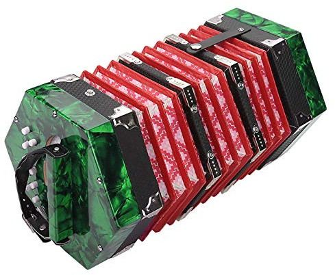 Generic Akkordeon, 20 Knöpfe, Ziehharmonika mit Griff und Tasche, Leichtes, Robustes Instrument für Alle Altersgruppen (GREEN)