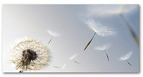 Tulup Leinwandbild - Wandkunst - Drucke auf Leinwand - Leinwanddruck -100x50 cm - Blumen & Pflanzen - Blau - Pusteblume