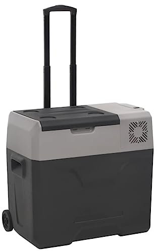 vidaXL Borsa Frigo con Manico e Ruote Nera e Grigia 30 L Polipropilene
