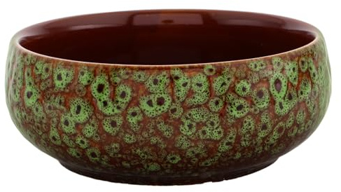 Kisangel Fioriera in con Capacità per Piante Acquatiche come Narcisi e Artistico per Decorazione Casa