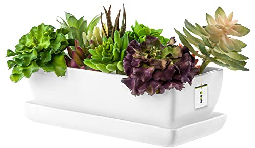 botle Keramik Blumentopf Blumenschale Kakteenschale Untersetzer Wasserloch Kakteen Bonsai Sukkulenten (rechteckig, Weiss)