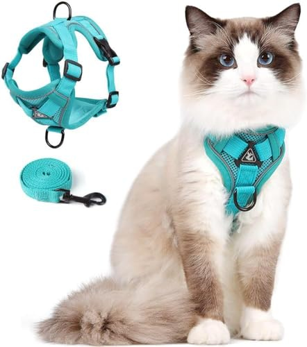 Katzengeschirr mit Leinen katzenleine Set, Katzengeschirr Ausbruchsicher Verstellbare Kätzchenweste mit Leine für kleine Katzen, Katzennetzjacke mit Reflektorstreifen (S Grün)