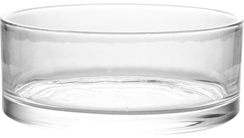 Artibetter Large Glass Vase Bowl Terrarium Succulent Planter: Glass Vase Air Plant Display Decorative Centerpiece Floral Container Fish Bowl for Home Wedding 20x20cm Glass Containers