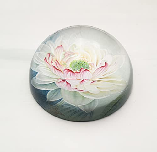 Kristallkugel Lotus Halbkugel Glas Halbkugel Briefbeschwerer Heimdekoration Ornamente Kugel Miniatur Kreative Geschenke