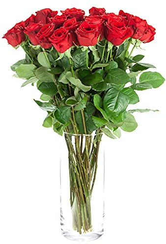 10 rote Rosen im Bund - frische echte Stiele in Premium-Qualität - 60 cm – Frischegarantie