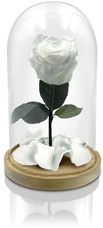 Aluisi Fiori – Rosa La Bella e La Bestia Bianca – Base in Legno Naturale Senza LED – Rosa Stabilizzata Che esprime Armonia e purezza. Regalo Perfetto per Nascita, Nozze o arredi Soft.