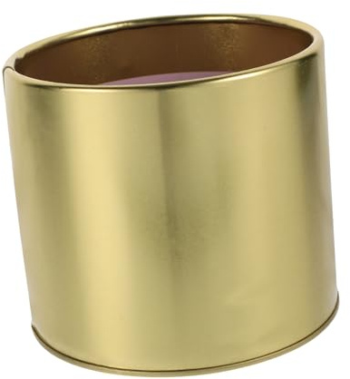 HEMOTON Pot De Fleurs en Fer Doré pour Balcon Et Bureau, Jardinière Unique 10,5 x 10,5 Cm, Contenant Créatif De Plantes Décoratif, Pot Simple pour Maison