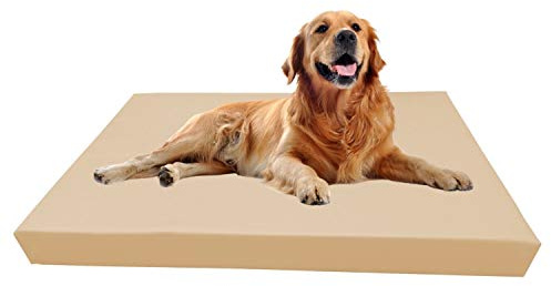 Barry & Lucy Hundelager Hundematte Hunde Matratze Hundeschlafmatte Hundebett Hundekissen Hundeplatz Kunstleder viele Farben (105x75x10, beige)