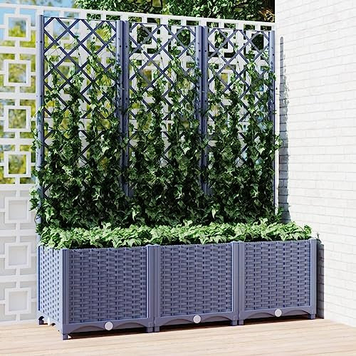 GuyAna Pflanzkübel mit Spalier Dunkelgrau 120x40x136 cm PP PflanzküBel Mit Rankgitter Blumenkasten BalkongeläNder Rankgitter Mit Pflanzkasten Gartenspalier