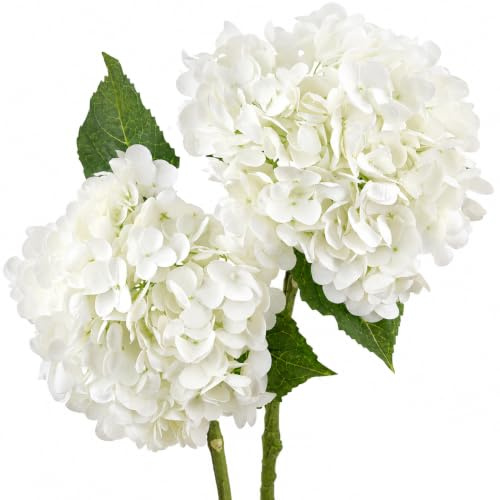 FiveSeasonStuff Real Touch Silk White Hydrangea Flowers, 2 Large Long Stems Artificial Flowers for Floral Decoration Arrangements