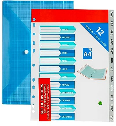 Divisori in plastica A4 (12 mesi) con busta. Cartella 12 divisori DIN A4 organizer per fogli e buste mensili. Confezione da 12 divisori grigi. Divisori per raccoglitori 2 e 4 anelli